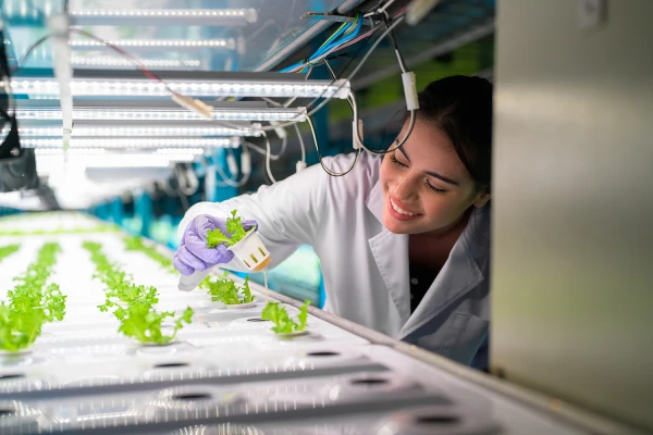 Seguridad e inocuidad alimentaria