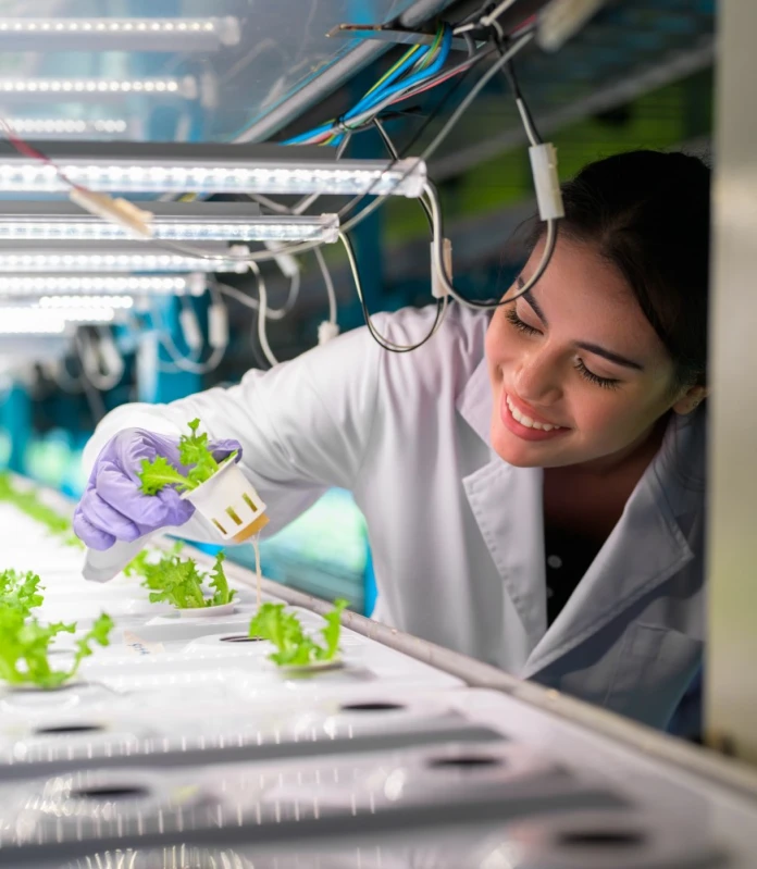 Seguridad e inocuidad alimentaria
